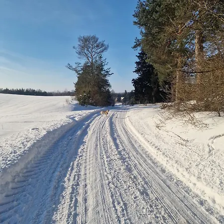 Szkola Pod Zurawiem - Na Mazurach