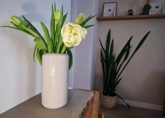 Szkoła Pod żurawiem - Dom Gościnny Na Mazurach * Wyszowate