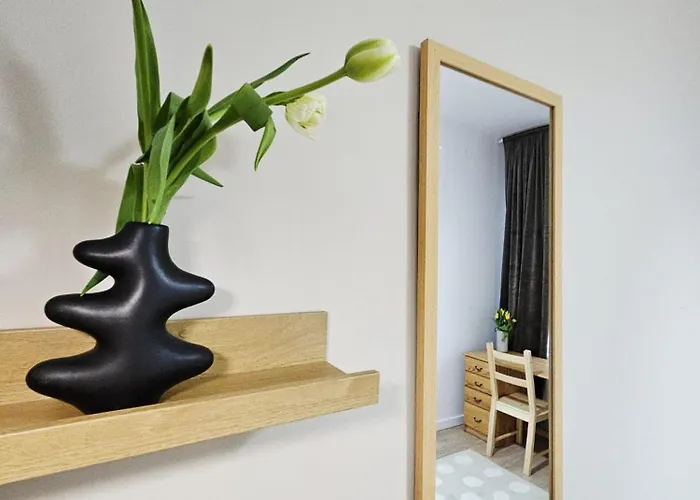 Apartament Szkoła Pod żurawiem - Dom Gościnny Na Mazurach Wyszowate