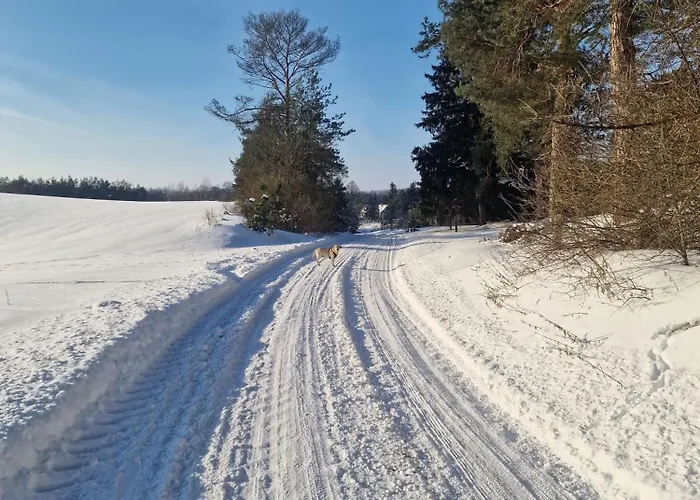 Szkoła Pod żurawiem - Dom Gościnny Na Mazurach